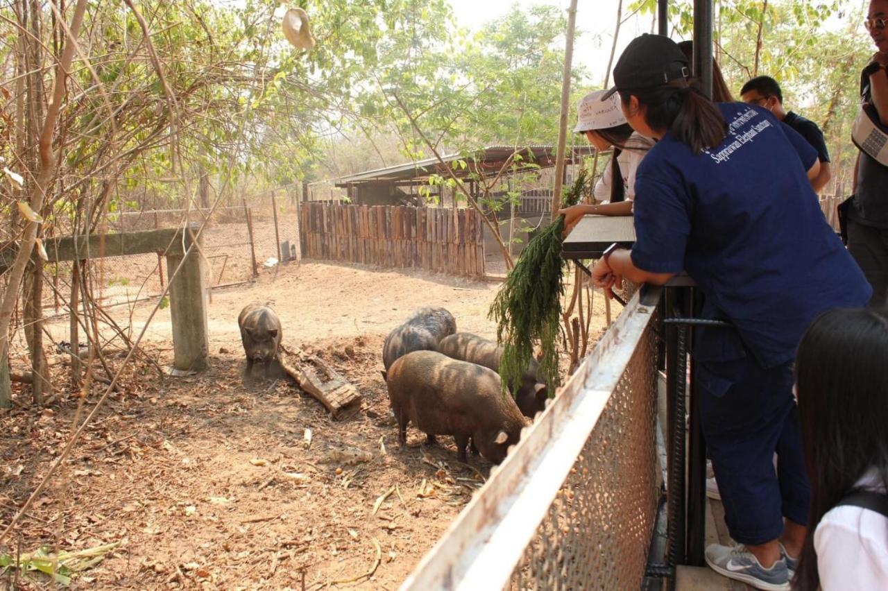Sappraiwan Elephant Resort & Sanctuary Kaengsopha Eksteriør billede
