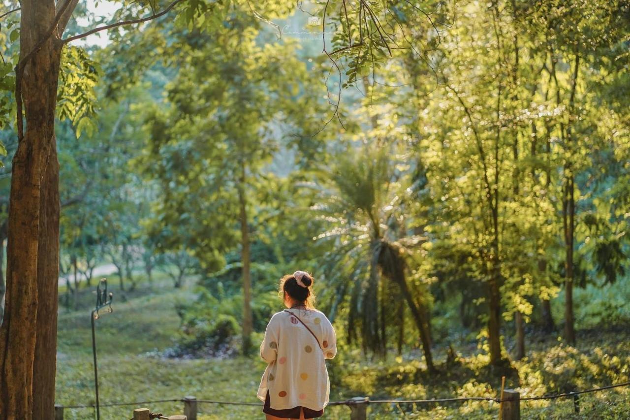 Sappraiwan Elephant Resort & Sanctuary Kaengsopha Eksteriør billede