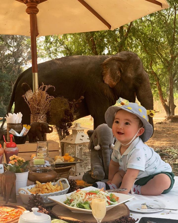 Sappraiwan Elephant Resort & Sanctuary Kaengsopha Eksteriør billede