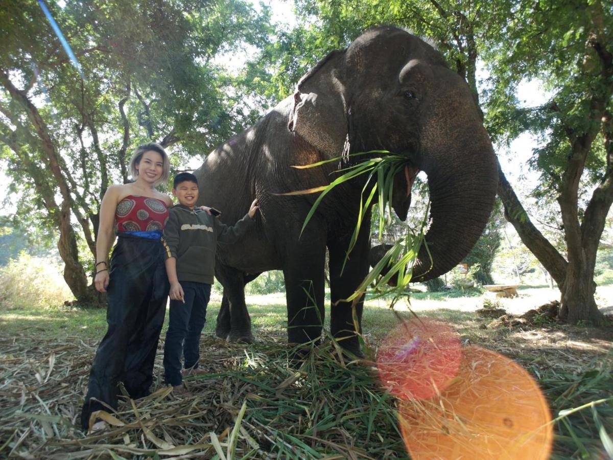 Sappraiwan Elephant Resort & Sanctuary Kaengsopha Eksteriør billede